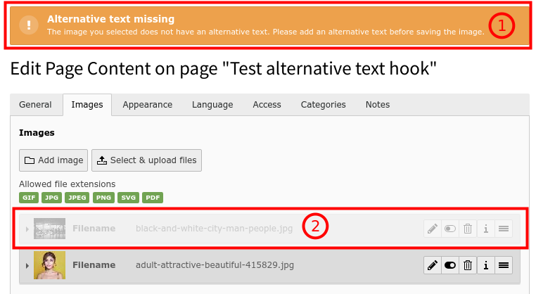 Alternative text check